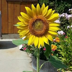 Meet your Posher, Cathy